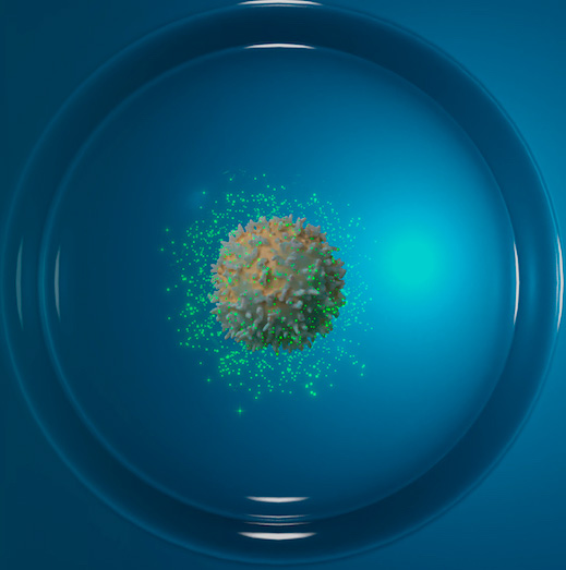 Cell line development box square